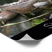 Schauen Sie sich Me Lizard Singapore Zoo Holiday a Poster (Ecke)