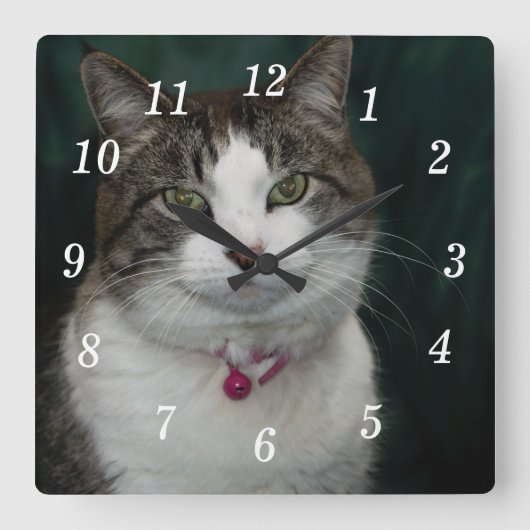 Schauen Sie sich meine Uhr an (Vorderseite)