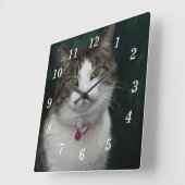 Schauen Sie sich meine Uhr an (Winkel)