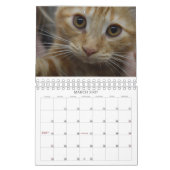 Schauen Sie, was die Katze in Kalender der (Mär 2027)