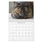 Schauen Sie, was die Katze in Kalender der (Feb 2027)