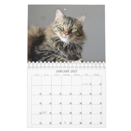 Schauen Sie, was die Katze in Kalender der (Jan 2027)