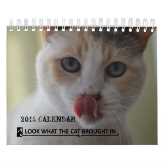 Schauen Sie, was die Katze in Kalender der