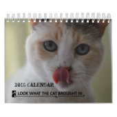Schauen Sie, was die Katze in Kalender der (Titelbild)