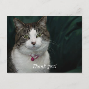 Schauen Sie, wie ich sehe danke Ihnen Postcard Postkarte