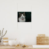 Schauen Sie, wie Sie mich sehen Poster (Küche)