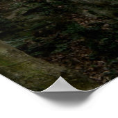 Schauen und Baumposter Poster (Ecke)