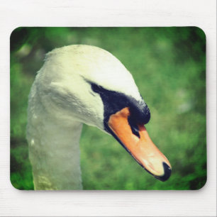 Schauen von Königen Schwan Natur Mousepad