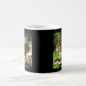 Schauer Leopard Kaffeetasse (Mittel)