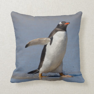 Schaufeln von Gentoo Kissen