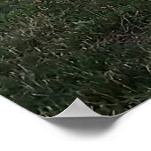 Schaukel mit Blick auf den See Poster (Ecke)