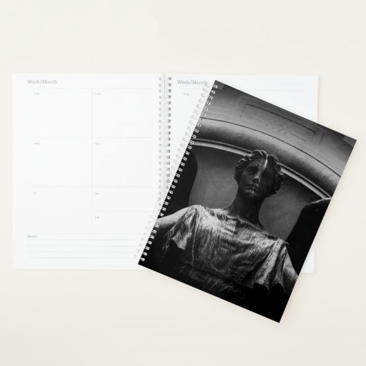 Schaukeln Planer (Anzeige)