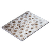 Schaumstoff Notizblock (Linke Seite)