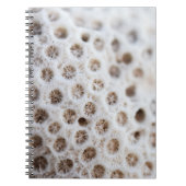 Schaumstoff Notizblock (Vorderseite)