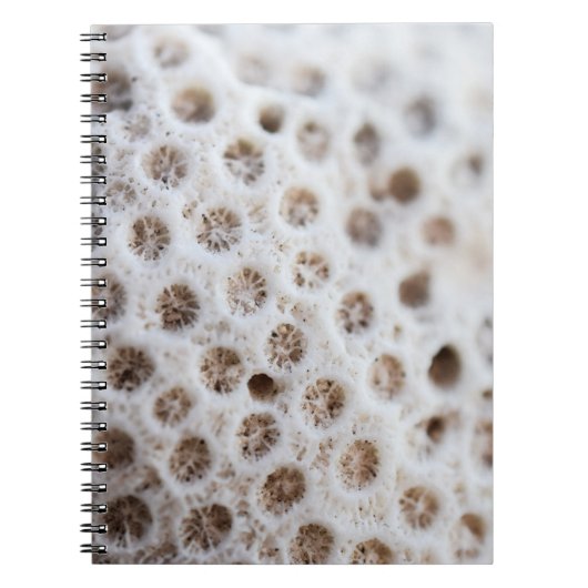 Schaumstoff Notizblock (Vorderseite)