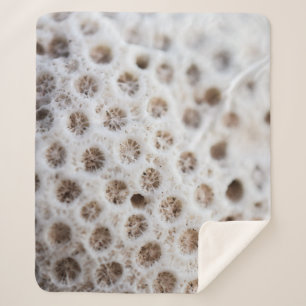Schaumstoff Sherpadecke