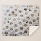 Schaumstoff Sherpadecke (Vorderseite (Horizontal))