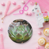 Schaumstoffpapier Pappteller (Party)