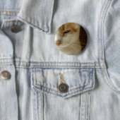 Schauspiel Button (Beispiel)