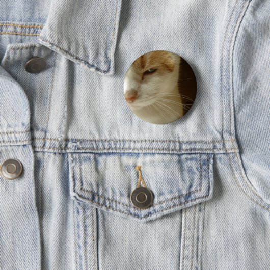 Schauspiel Button (Beispiel)