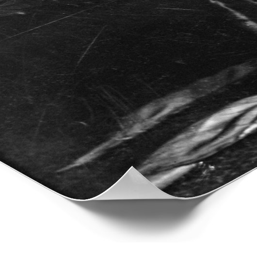 Schauspielerin Lillian Gish Poster (Ecke)