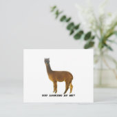 Schaust du mich an? postkarte (Stehend Vorderseite)