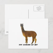 Schaust du mich an? postkarte (Vorne/Hinten)
