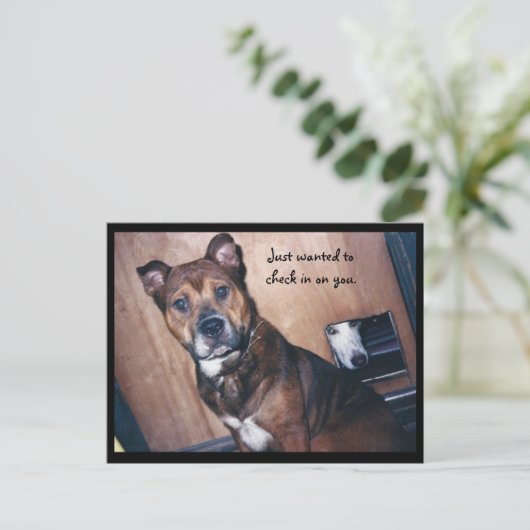 Schaut einfach bei euch vorbei. postkarte (Stehend Vorderseite)