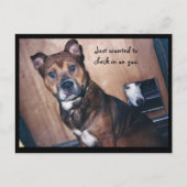 Schaut einfach bei euch vorbei. postkarte (Vorderseite)