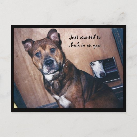 Schaut einfach bei euch vorbei. postkarte (Vorderseite)