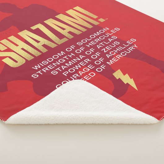 SCHAZAM! Götterwut | Flexi-Silhouette Sherpadecke (3/4)