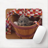 Scheffel Kerl-Miezekatze Mousepad (Mit Mouse)