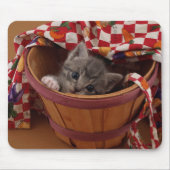 Scheffel Kerl-Miezekatze Mousepad (Vorne)