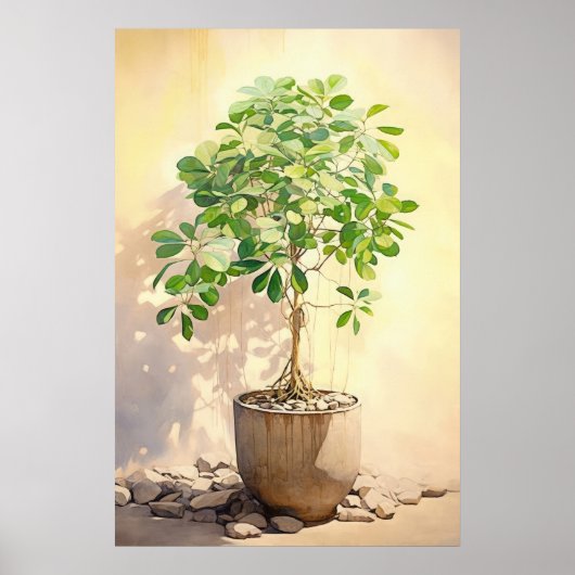Schefflera Heptaphylla in Pot Poster (Vorne)