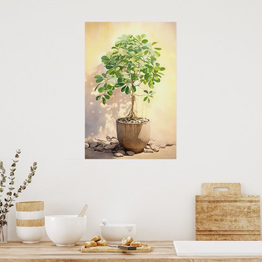 Schefflera Heptaphylla in Pot Poster (Küche)