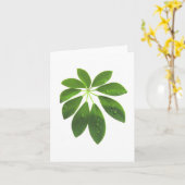 Schefflera-Notenkarte Karte (Gelbe Blume)