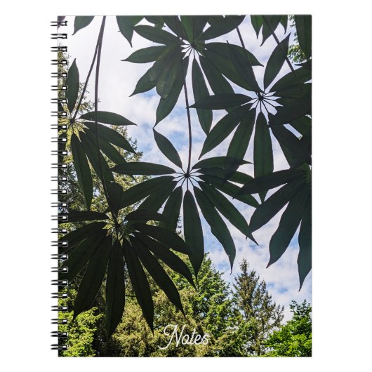 Schefflera Pflanze Blätter Floral Notizblock (Vorderseite)