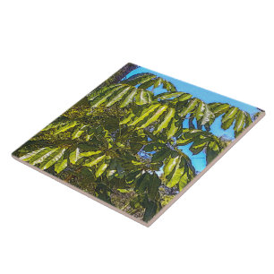 Schefflera Schirme Keramikfliese