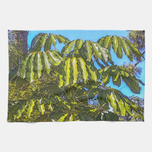 Schefflera Schirme Küchenhandtuch 1 Geschirrtuch