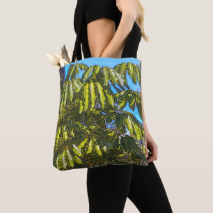 Schefflera Schirme Tragetasche Tasche