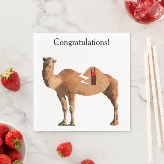 Scheidung Party Napkins Serviette (Beispiel)