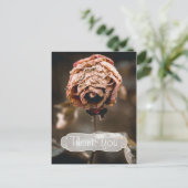 Scheidung Party Tote Rose Vielen Dank Postkarte (Stehend Vorderseite)