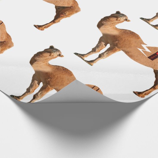 Scheidungspapier Geschenkpapier (Ecke)