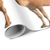 Scheidungspapier Geschenkpapier (Rolleneckpunkt)