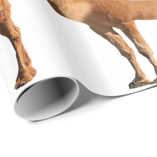 Scheidungspapier Geschenkpapier (Rolleneckpunkt)