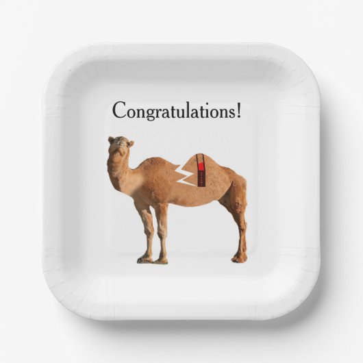 Scheidungspapier Party Teller (Vorderseite)