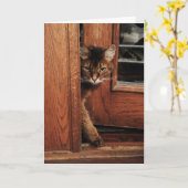 Schein in der Eingangs-somalischen Katzen-Karte Karte (Gelbe Blume)