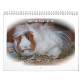 Schein Kalender (Titelbild)