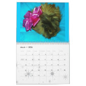 Schein Kalender (Mär 2026)