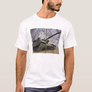 Scheinangreifer von Republik Korea 2 T-Shirt